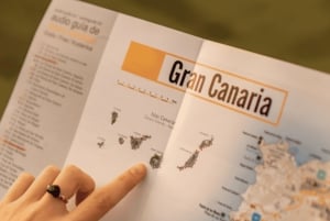 Gran Canaria: Paragliding Experience
