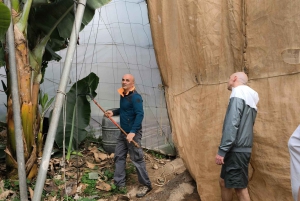 Gran Canaria: Paragliding Flight & Banana Plantation Tour