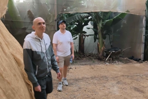 Gran Canaria: Paragliding Flight & Banana Plantation Tour