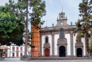 Gran Canaria Peaks in Minibus: Firgas, Teror, Aloe Vera tour