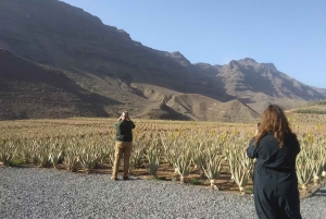 Gran Canaria Peaks in Minibus: Firgas, Teror, Aloe Vera tour