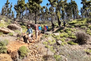 Gran Canaria: Excursión de Senderismo 'Picos de Gran Canaria