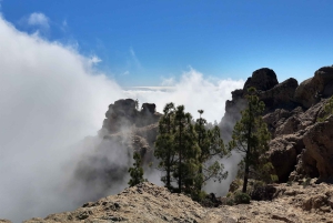 Gran Canaria: Excursión de Senderismo 'Picos de Gran Canaria
