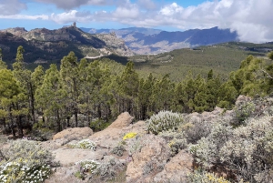 Gran Canaria: Excursión de Senderismo 'Picos de Gran Canaria