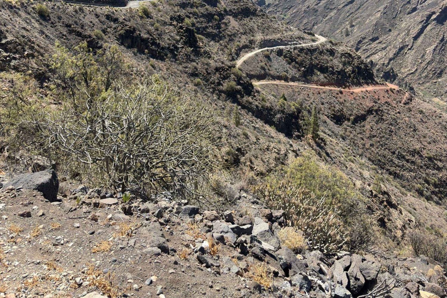 Gran Canaria: Pico de las Nieves and Tejeda Day Trip
