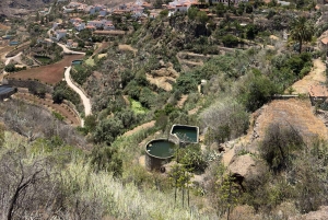 Gran Canaria: Pico de las Nieves and Tejeda Day Trip