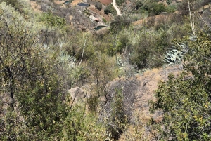 Gran Canaria: Pico de las Nieves and Tejeda Day Trip