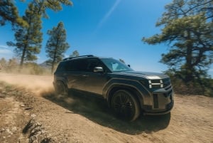 Gran Canaria: Premium Safari 4x4 Tour with Local Guide