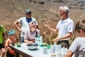 Gran Canaria: Premium Safari 4x4 Tour with Local Guide