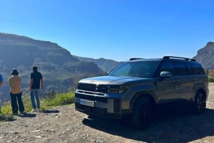 Gran Canaria: Premium Safari 4x4 Tour with Local Guide