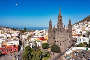 Gran Canaria: Private Airport Transfer with City Tour