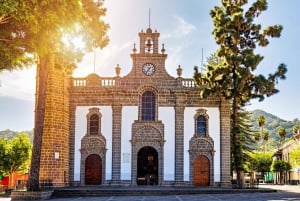 Gran Canaria: Private Full-Day Tour