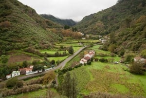 Gran Canaria: Private Full-Day Tour