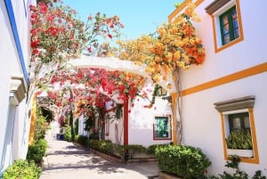 Gran Canaria: Puerto de Mogán Local Market Day Trip