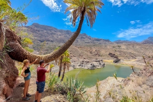 Gran Canaria: Red Gorge, Cave, Oasis Adventure Tour & Picnic