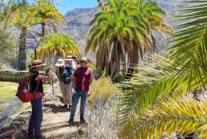 Gran Canaria: Red Gorge, Cave, Oasis Adventure Tour & Picnic