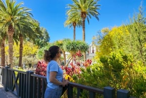 Gran Canaria: Red Gorge, Cave, Oasis Adventure Tour & Picnic