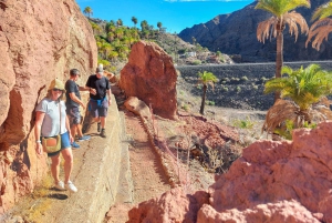 Gran Canaria: Red Gorge, Cave, Oasis Adventure Tour & Picnic