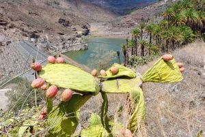 Gran Canaria: Red Gorge, Cave, Oasis Adventure Tour & Picnic