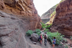 Gran Canaria: Red Gorge, Cave, Oasis Adventure Tour & Picnic