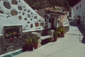 Gran Canaria: tour panorámico + comida típica + cata de vino/café