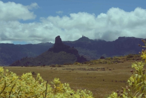 Gran Canaria: Scenic Tour+Typical lunch+Wine/Coffee Tasting