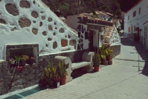 Gran Canaria: Scenic Tour+Typical lunch+Wine/Coffee Tasting