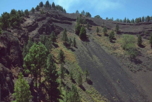 Gran Canaria: Scenic Tour+Typical lunch+Wine/Coffee Tasting