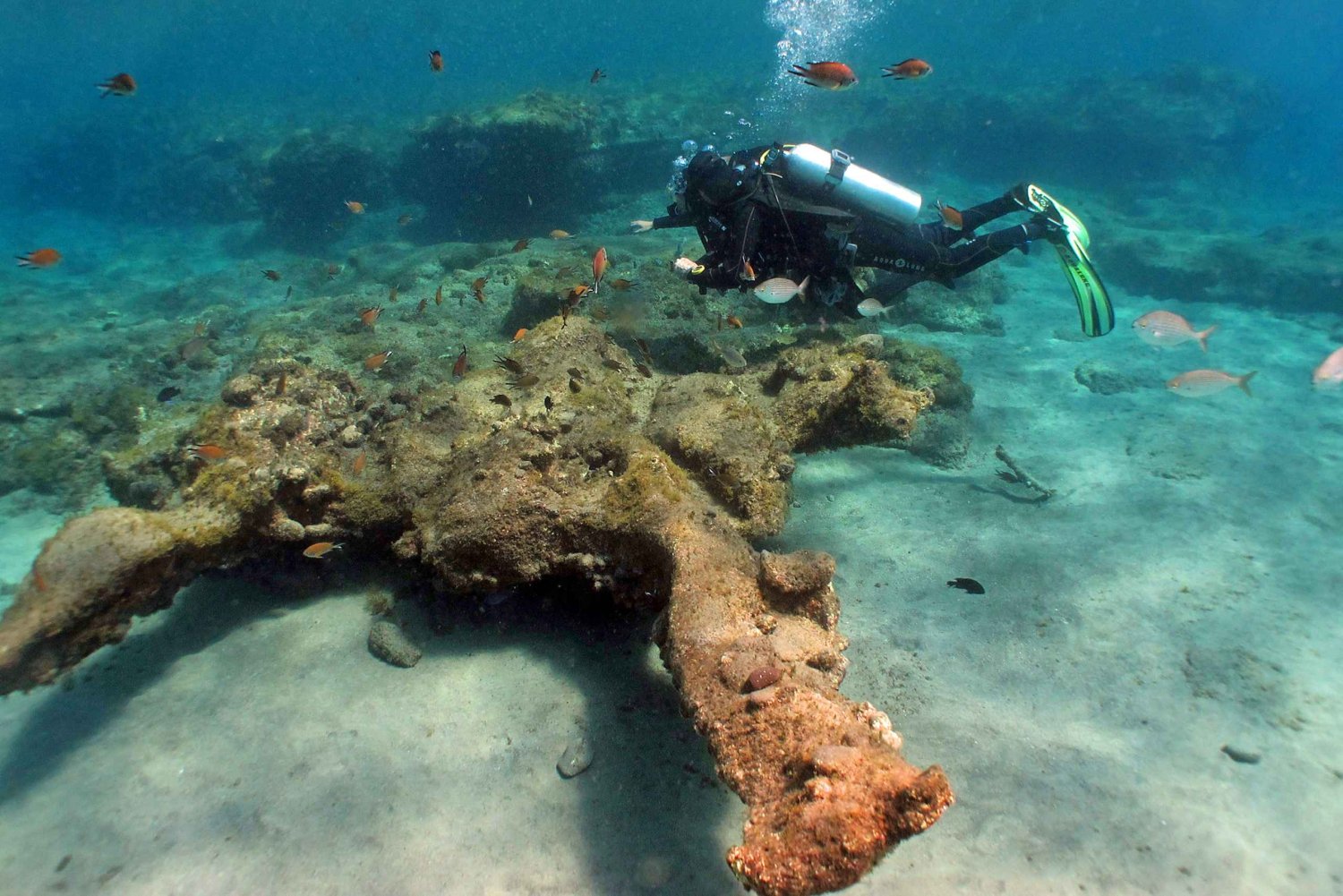 Buceo en Gran Canaria: Paquete de 1 día y 2 inmersiones