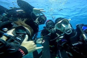 Gran Canaria: Buceo para principiantes