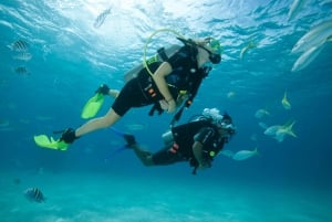 Gran Canaria: Buceo para principiantes