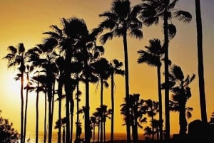 Gran Canaria: Buceo para principiantes