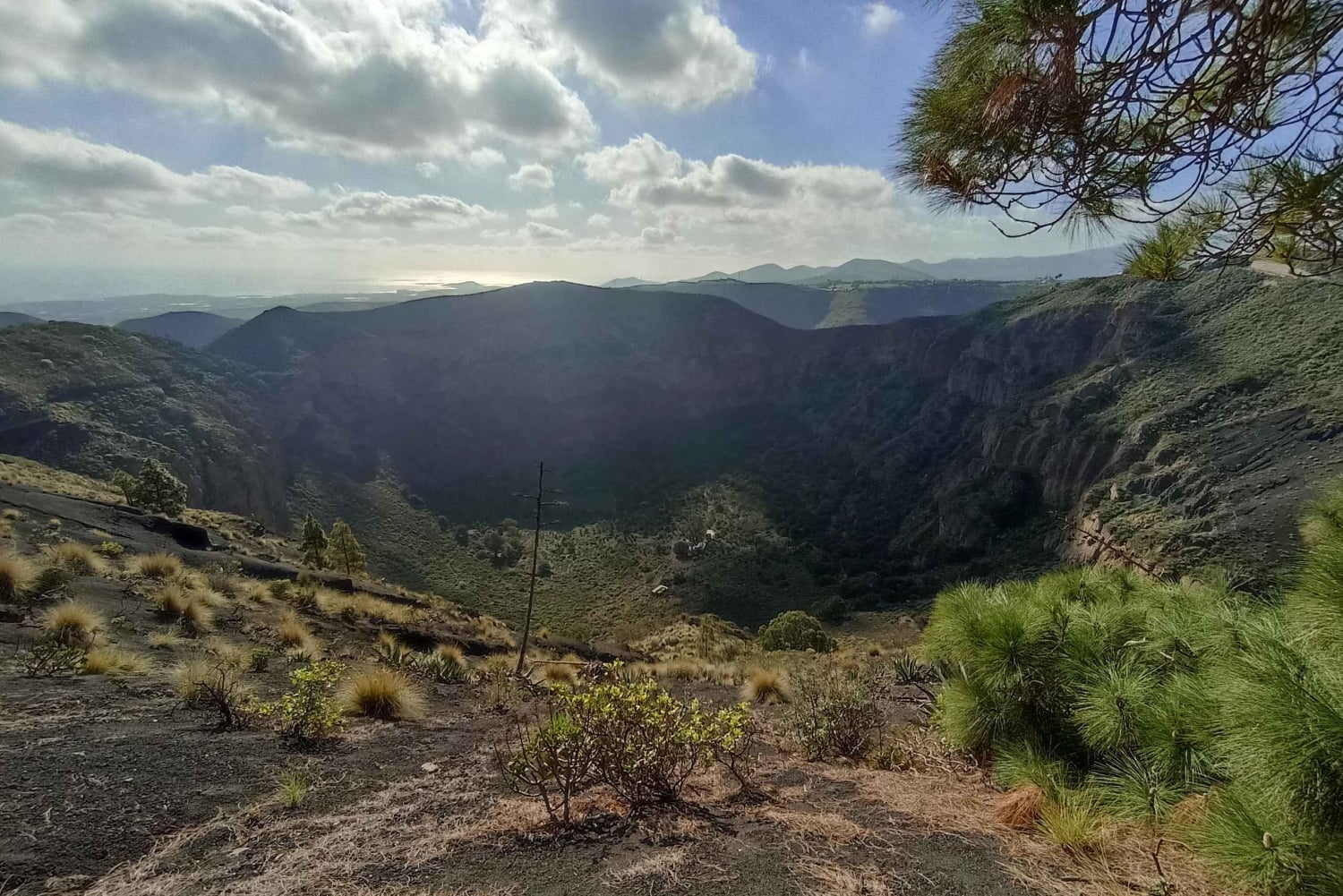 Excursión en Gran Canaria: cata de ron y pueblos pintorescos