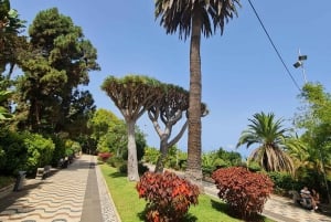 Excursión en Gran Canaria: cata de ron y pueblos pintorescos