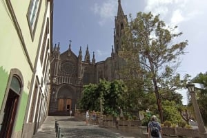 Excursión en Gran Canaria: cata de ron y pueblos pintorescos