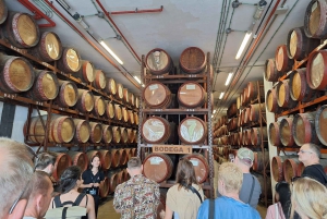 Excursión en Gran Canaria: cata de ron y pueblos pintorescos