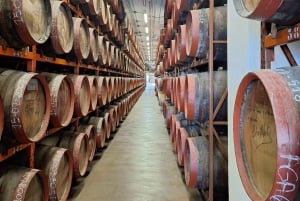 Excursión en Gran Canaria: cata de ron y pueblos pintorescos