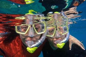 Gran Canaria: Snorkel tour with boat on the west coast