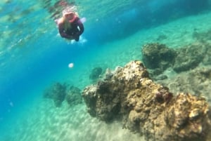 Gran Canaria: Snorkel tour with boat on the west coast