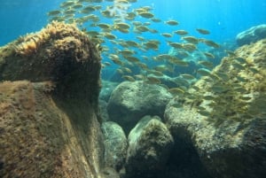 Gran Canaria: Snorkel tour with boat on the west coast
