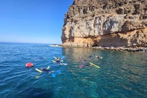 Gran Canaria: Snorkel tour with boat on the west coast