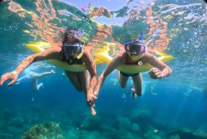 Gran Canaria: Snorkel tour with boat on the west coast