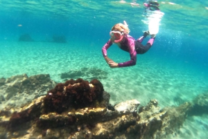 Gran Canaria: Snorkel tour with boat on the west coast