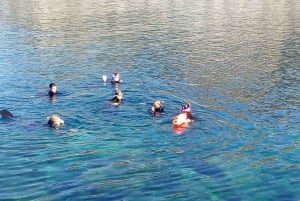 Gran Canaria: Excursión de snorkel