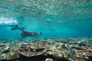 Gran Canaria: Excursión de snorkel