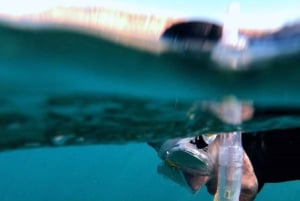 Gran Canaria: Excursión de snorkel