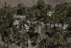 Gran Canaria: tour en vídeo privado 4K por el sur