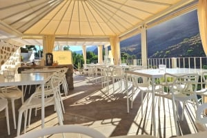 Gran Canaria: Spanish Tapas and Wine Tasting Tour in Mogan