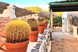 Gran Canaria: Spanish Tapas and Wine Tasting Tour in Mogan