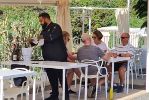 Gran Canaria: Spanish Tapas and Wine Tasting Tour in Mogan